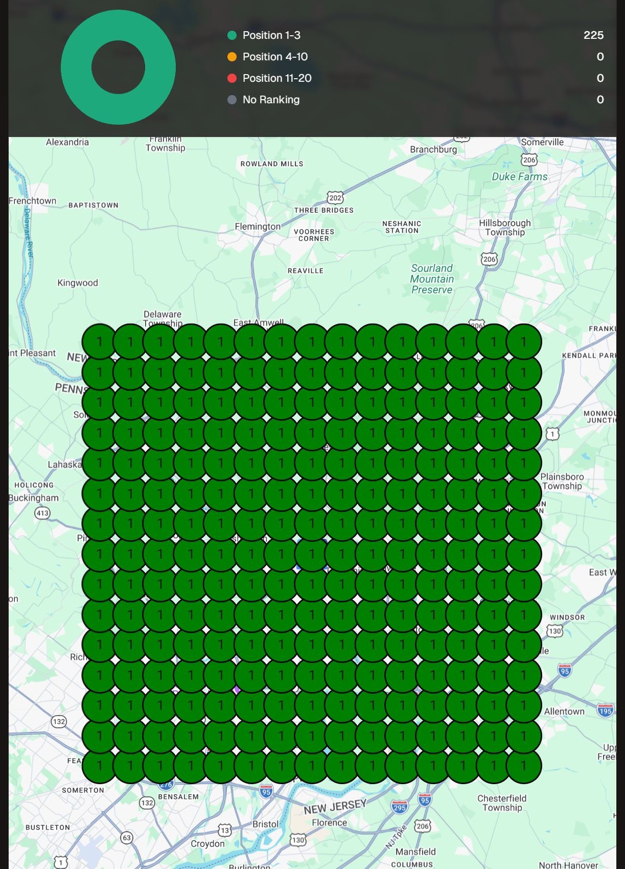 After: Google Maps heat map showing complete statewide domination (all green, 225 of 225 in top 3) for Cruz Gold & Associates across New Jersey